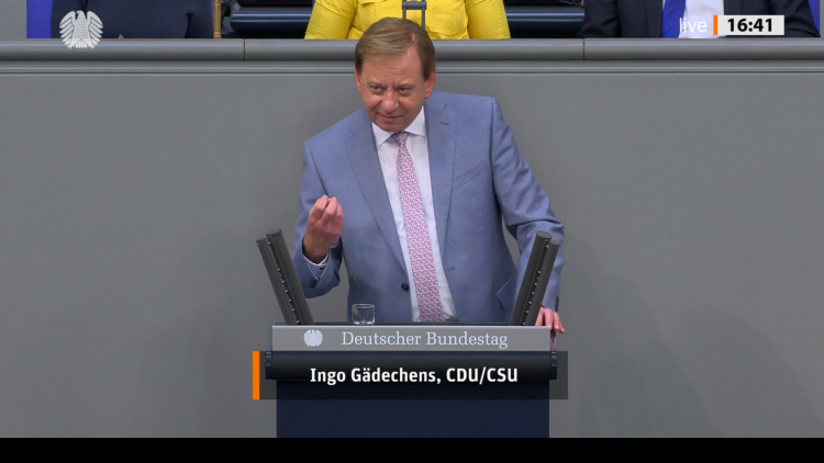 Ingo Gädechens im Plenum EP14